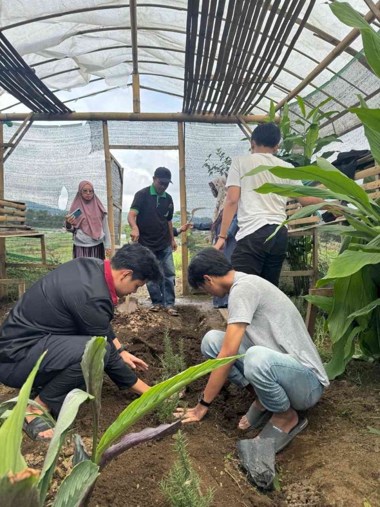 Hijau yang Menyembuhkan: PituSanga Farm Greenhouse, Tempat Bermain di Cilacap