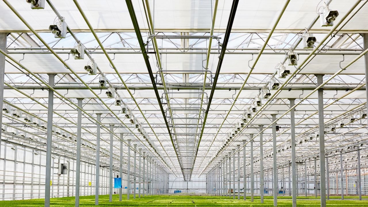 PituSanga Farm Greenhouse: Surga Hijau yang Menghijaukan Hari Anda di Cilacap